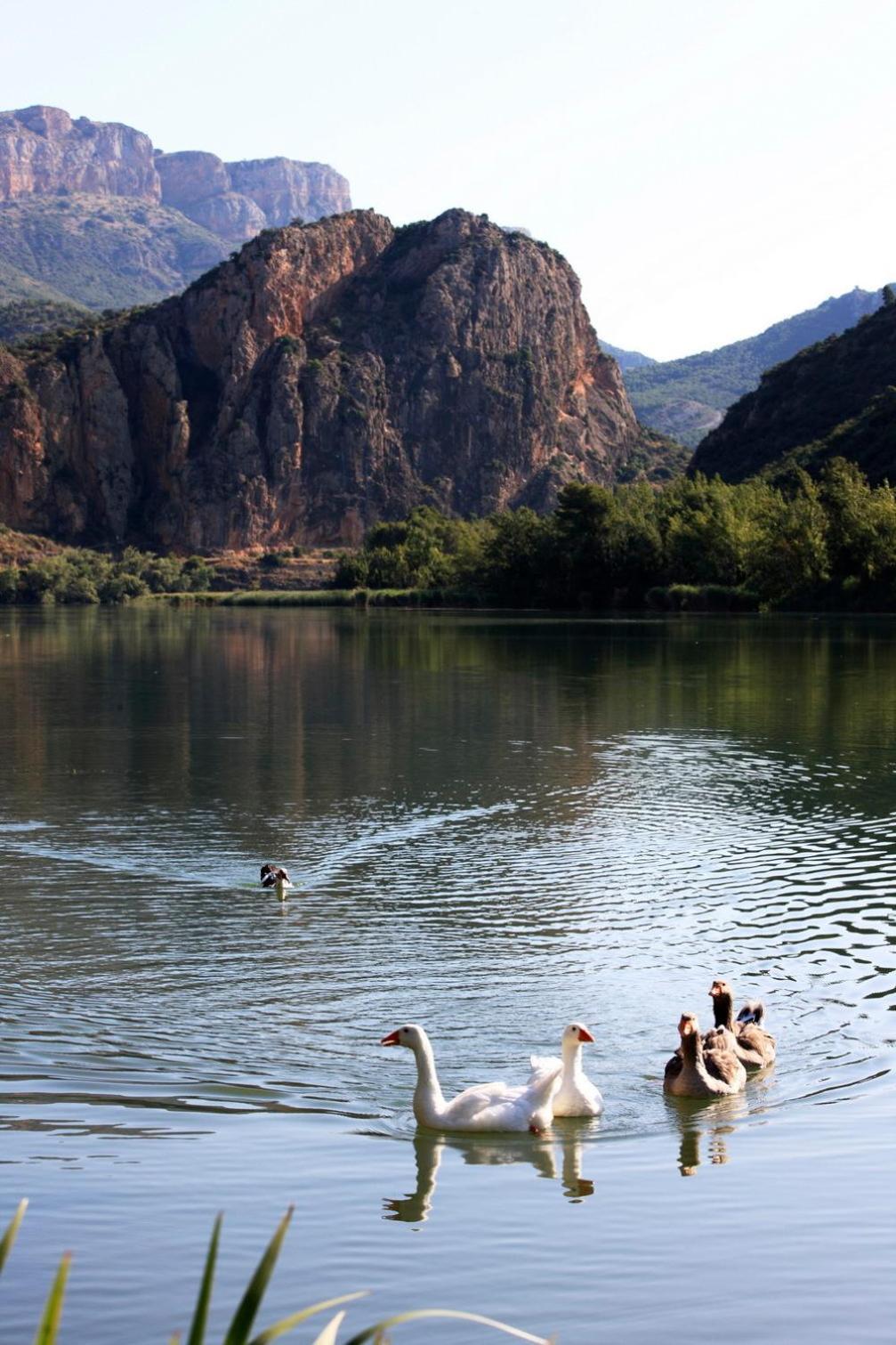 La Noguera Camping 2* Sant Llorenc de Montgai