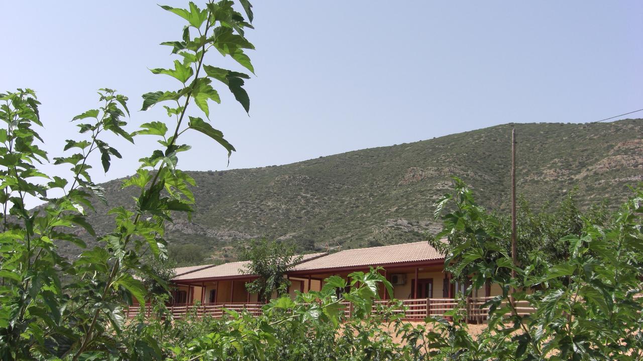 Campsite La Noguera Camping 2*